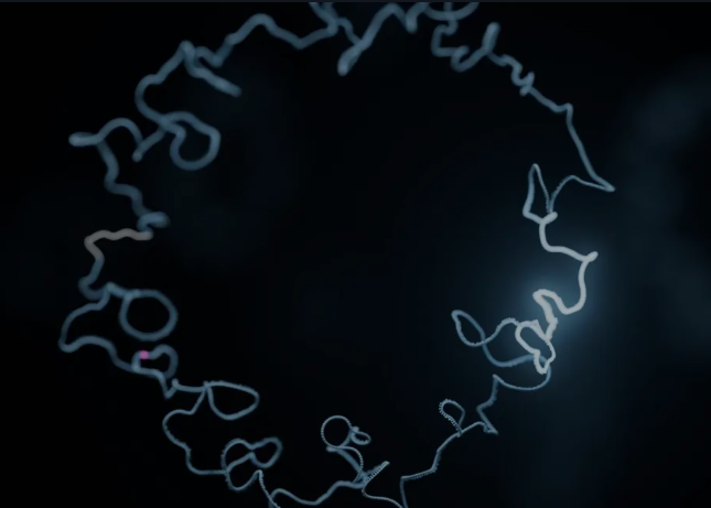 Plasmid Sequencing