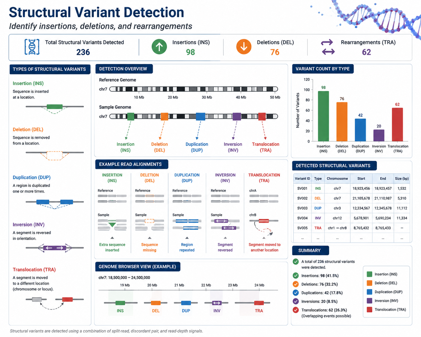 Plasmid Sequencing